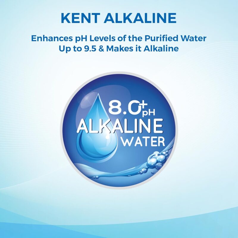 KENT Maxx Alkaline-B - Image 3